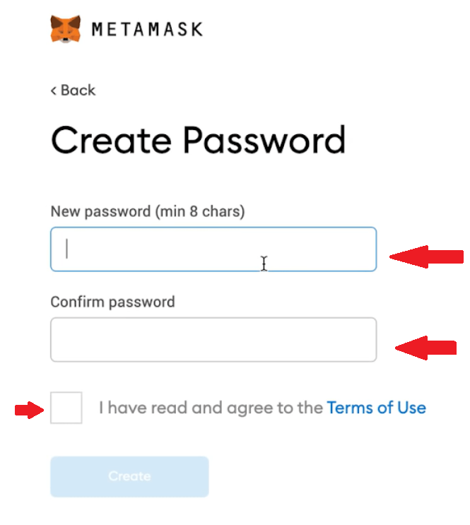 Enter the password select for the wallet and confirm, and then agree to the terms