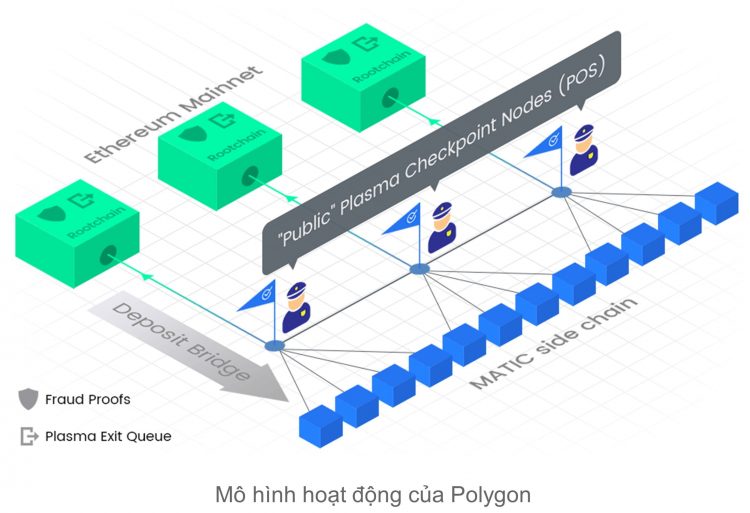 Polygon's operating model