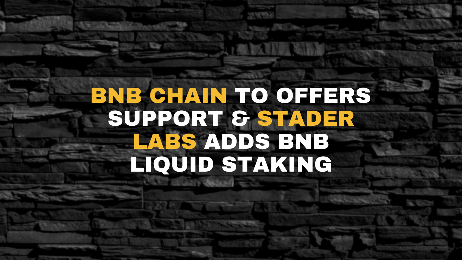 BNB Chain supports projects in terra ecosystem
