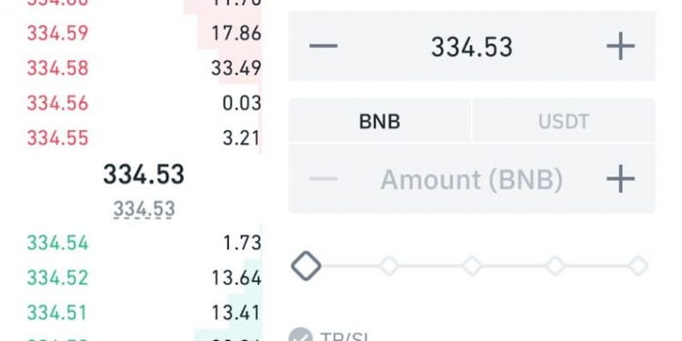 Binance Lite Beginner's Guide