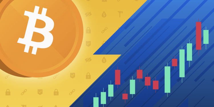 difference between cryptocurrencies and stocks