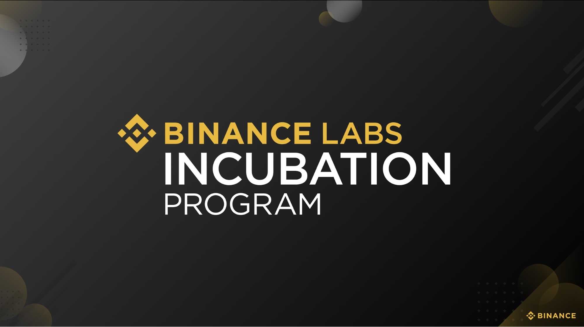 Launch the next part of the incubation program