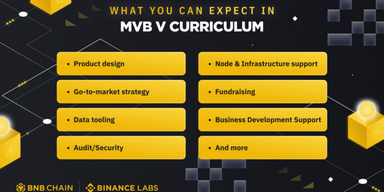 Các lĩnh vực chương trình MVBV tập trung