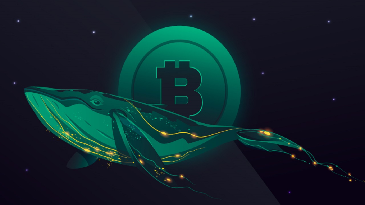 Cá voi Bitcoin 2013 chuyển 5,000 BTC đến Kraken, thợ đào gửi 4,400 BTC đến Binance