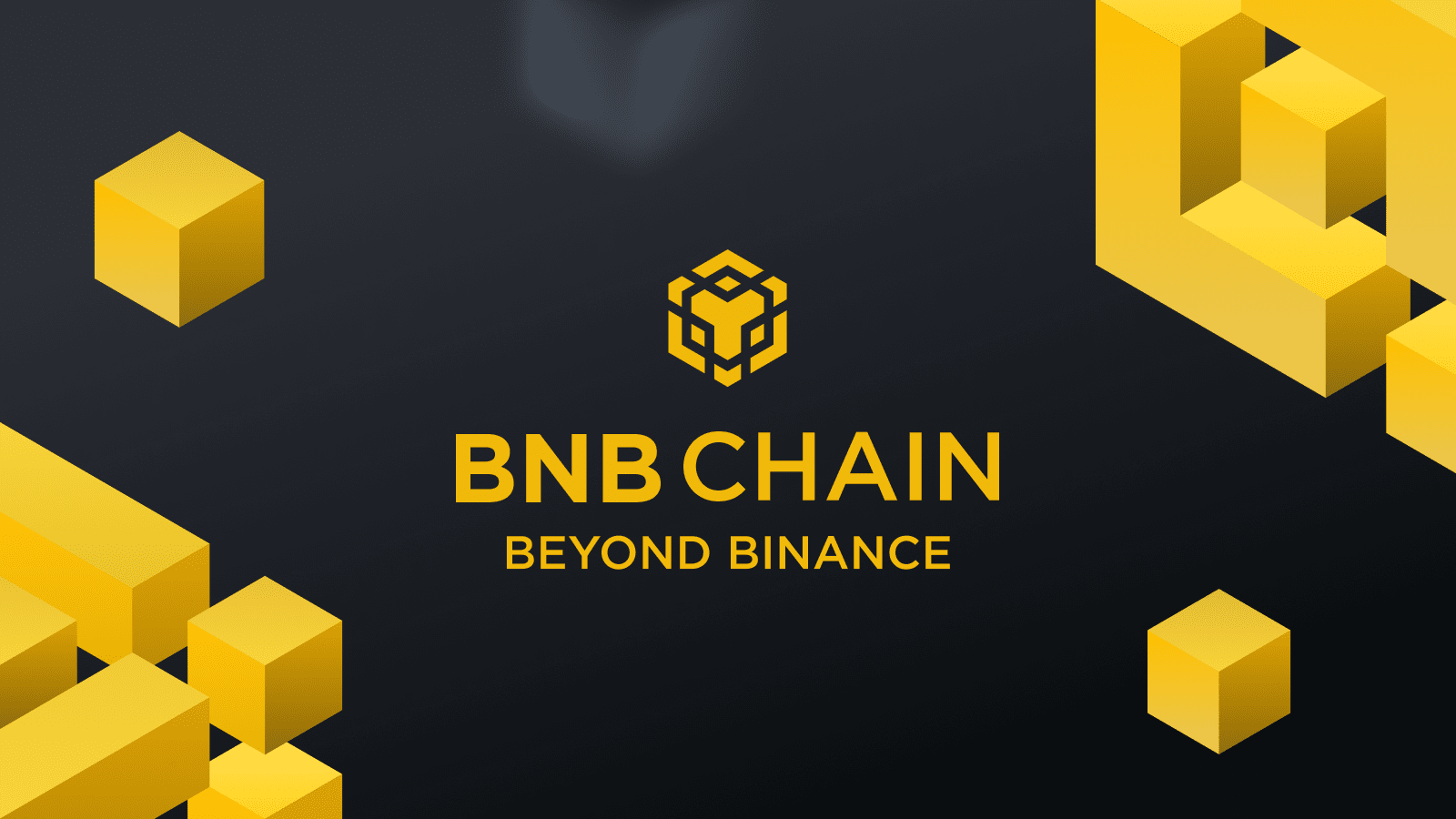 Growth potential of BNB Chain projects